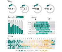 Fitness dashboard using JavaScript charts.